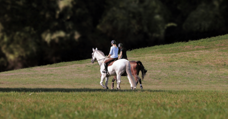 photoshoot-with-horse (2)