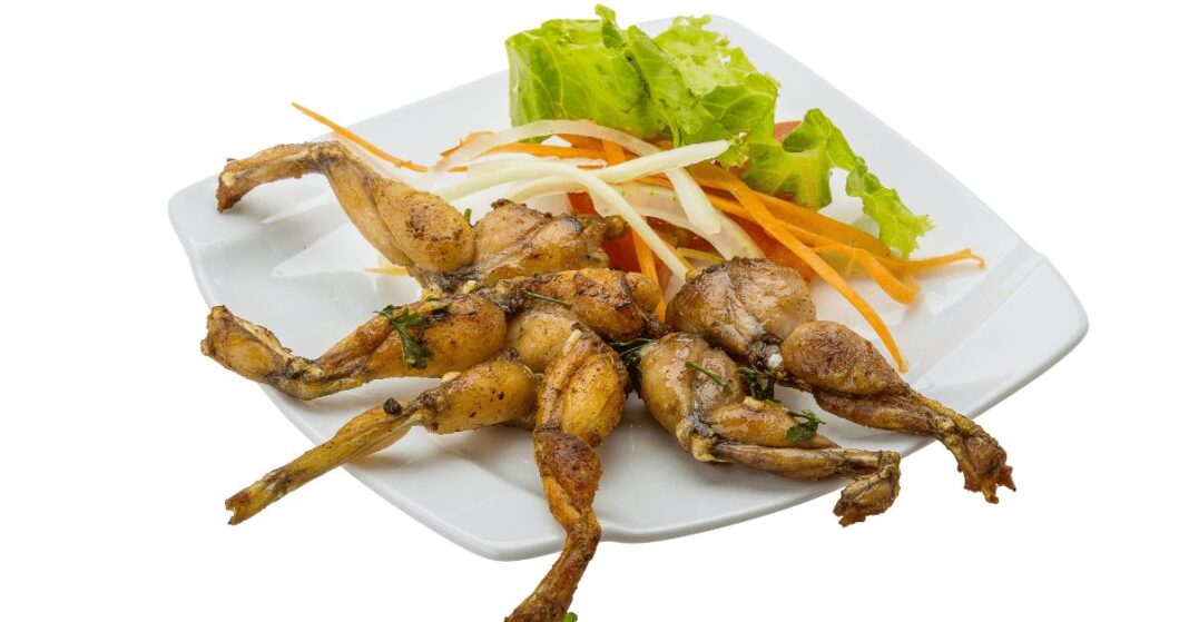 cohens-frog-legs